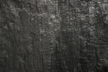 burn. surface of the scorched wood. texture of tree. Focus. Background