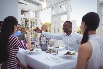 Group of friends toasting glasses of wine during lunch