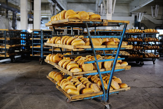 many loaves of fresh bread on a shelf in a bakery