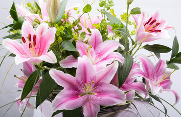 Close up of pink lily flower