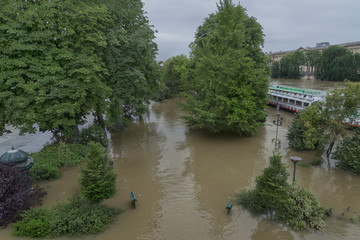 Fototapeta na wymiar A garden on île de la Cité flooded, June 3rd 2016