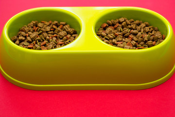 Green bowl full of multicolored dog food