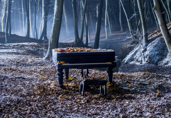 Grand piano in the woods © serhii