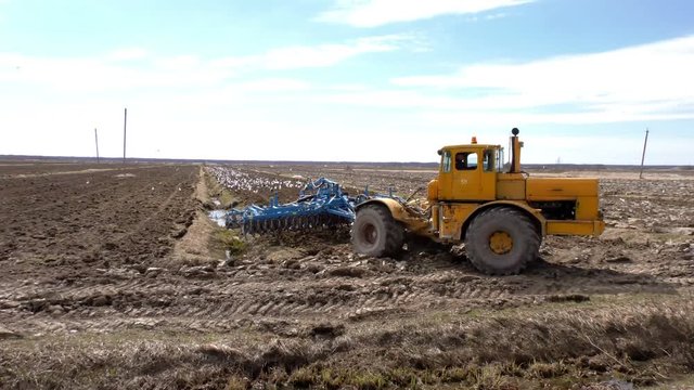Plowing with a tractor for sow seeds. Sowing on arable lands. Spring preparation for crop attracts birds eating larvae after backwashing of the earth. Agricultural activities of farmers.