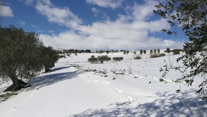 Paesaggio di neve