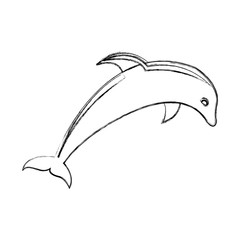cute dolphin silhouette icon vector illustration design