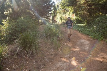 Obraz premium Man with backpack walking on the path in forest