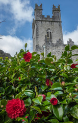 Old St Mary Cathedral