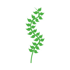 Seaweed silhouette isolated icon vector illustration design