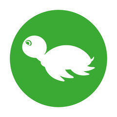 cute tortoise isolated icon vector illustration design