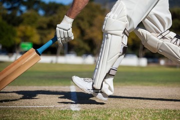 Cricket player scoring run on field - Powered by Adobe