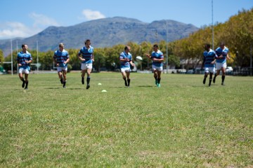 Obraz na płótnie Canvas Rugby team playing match at grassy field