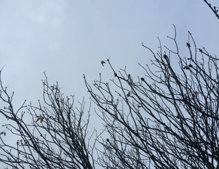A glance at the sky