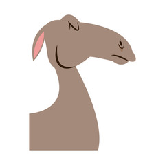 head camel animal manger christmas vector illustration
