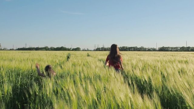 Children run around the wheat field. Sisters play in spikelets of wheat.