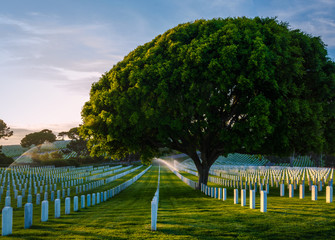 Fort Rosecrans National Veteran Cemetery in Point Loma, California