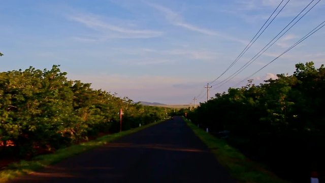 Camera Moves along Shady Road among Green Countryscape