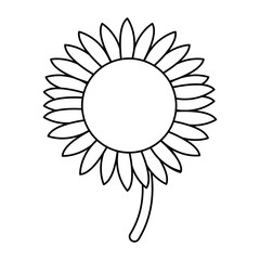 beautiful nature sunflower season botanical vector illustration