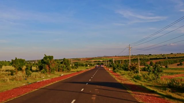 Motion Past Plain Sunny Rural Landscape with Rare Trees