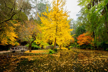 Fototapeta premium Alfred Nicholas Memorial Gardens