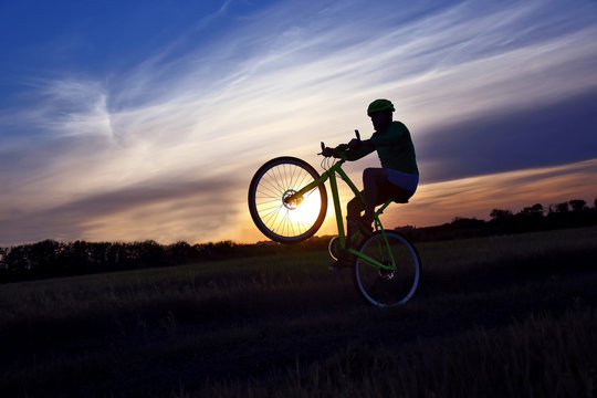 cyclist rides a bicycle in a field at sunset