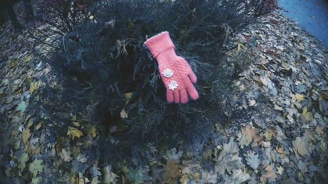 Kids glove found on bush in park, evidence confirming kidnapping of little girl