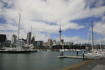 Obraz premium Auckland New Zealand