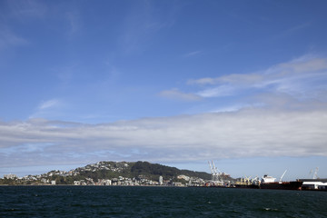 Fototapeta premium Ferry View Wellington New Zealand