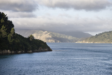 Fototapeta premium Ferry View Picton New Zealand