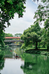Fototapeta premium lake in the green tree park