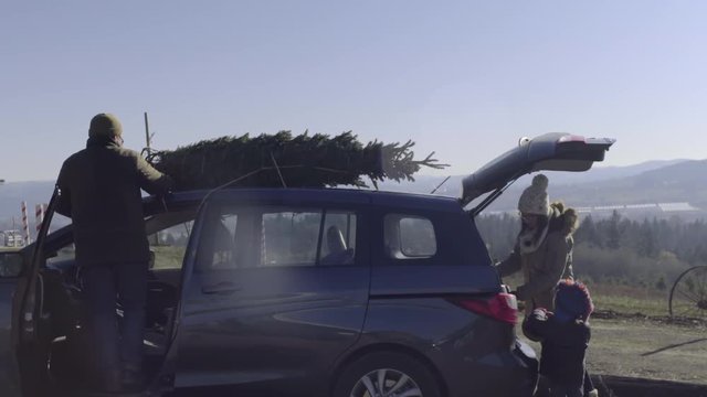 Father Ties Christmas Tree To Car, Mother And Son Pack Up The Car 