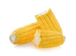 corn on white background