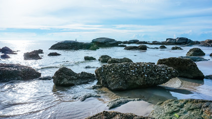 Fototapeta na wymiar Tropical stone beach with clear water and blue sky