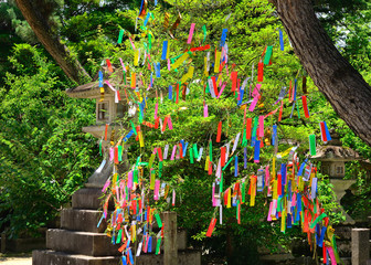 七夕 京都
Tanabata festival, Kyoto Japan