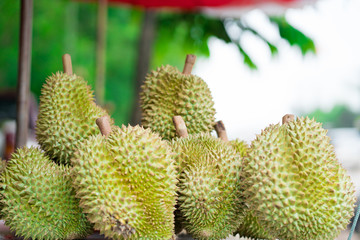 durian on stall in the market