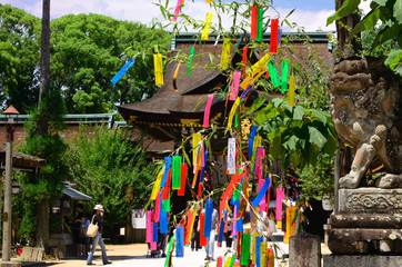 七夕 京都
Tanabata festival, Kyoto Japan