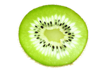 fresh slice kiwi fruit isolated on white background