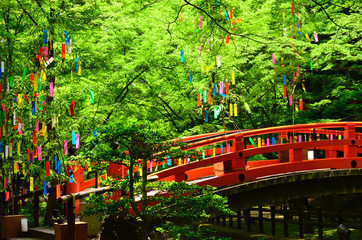 七夕 京都
Tanabata festival, Kyoto Japan - obrazy, fototapety, plakaty