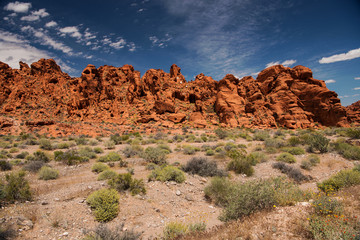 Fototapeta premium Pure Nature at the Valley of Fire State Park