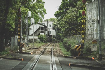 線路と踏切