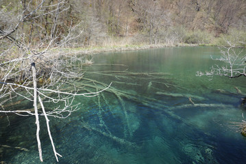 beautiful landscape along the way in Plitvice lake national park
