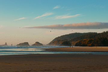 Fototapeta na wymiar Birds Flying On Sunset Beach 