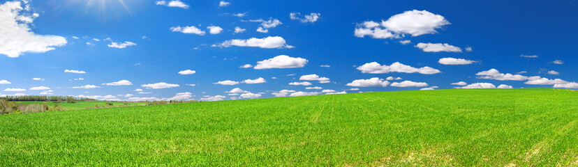 Fototapeta na wymiar spring rural landscape with field and blue sky, a panorama