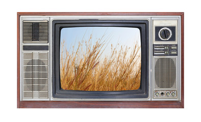 Retro television on white background with image of dried grass field on screen.