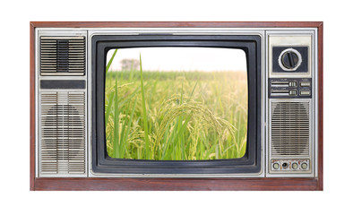Retro television on white background with image of rice field on screen.