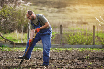 The gardener digs the garden with a shovel