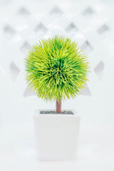 fake little tree in the vase  for decoration