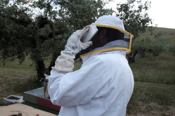 Beekeeper at work