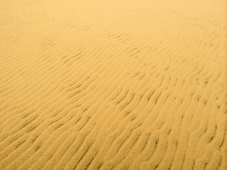 Fototapeta na wymiar Sandy beach background