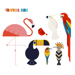 Birds. tropical animal vector illustration flat design